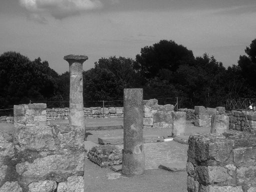 ImageImage1308.web.jpg