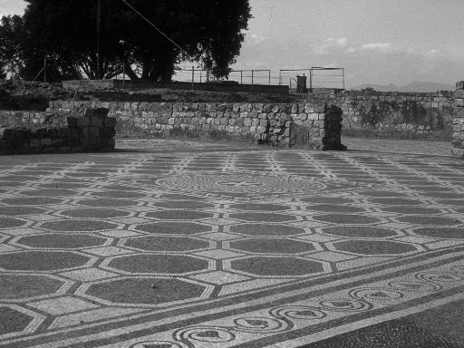ImageImage1309.web.jpg