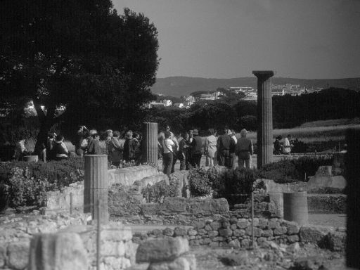 ImageImage1311.web.jpg