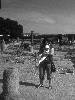 [thumbnail of Picture 23]