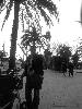 [thumbnail of Picture 33]