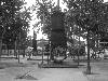 [thumbnail of Picture 35]