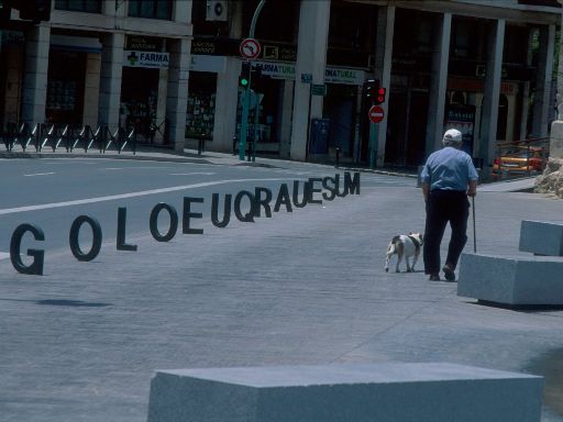 ImageImage1257.web.jpg