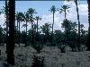 [thumbnail of Picture 17]