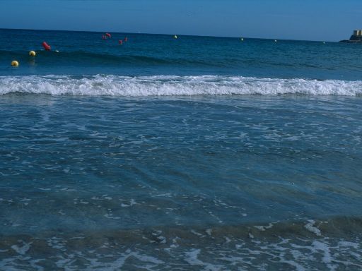 ImageImage1273.web.jpg