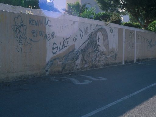 ImageImage1276.web.jpg