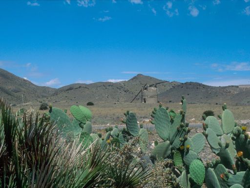 ImageImage1284.web.jpg