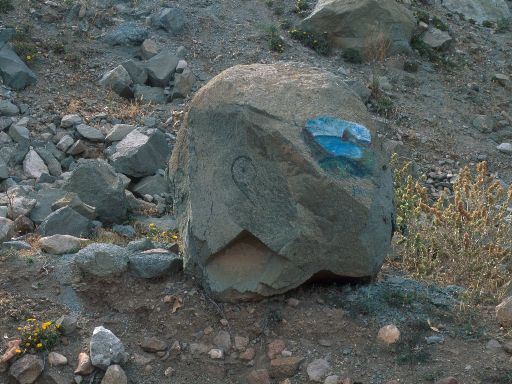 ImageImage1288.web.jpg