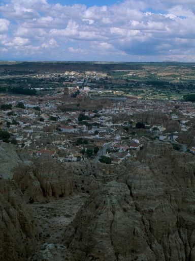ImageImage1370.web.jpg