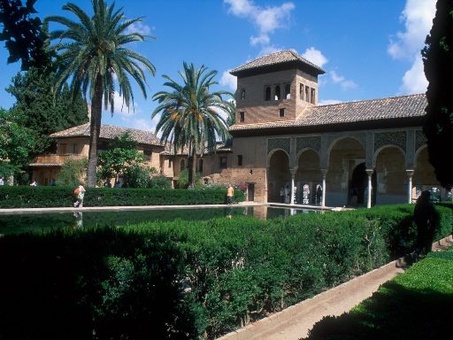 ImageImage1385.web.jpg