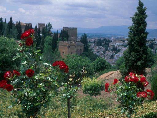 ImageImage1397.web.jpg