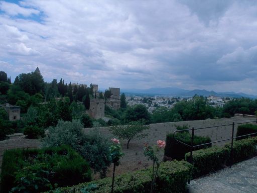 ImageImage1399.web.jpg