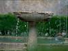 [thumbnail of Picture 5]