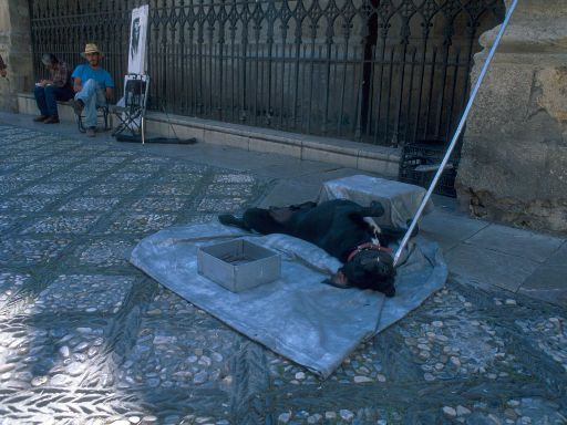 ImageImage1413.web.jpg
