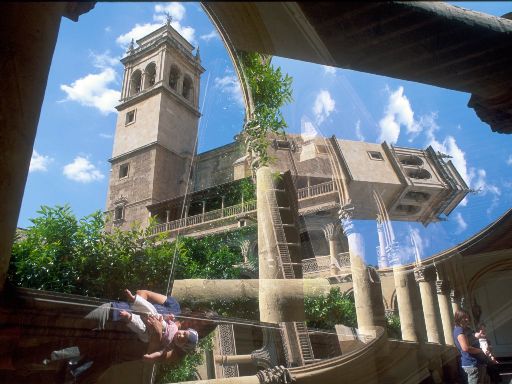 ImageImage1415.web.jpg