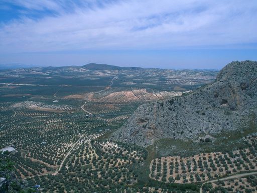 ImageImage1421.web.jpg