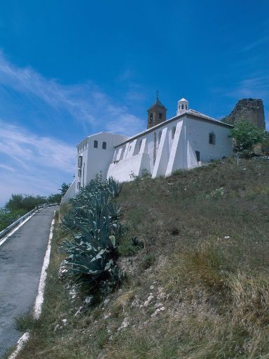 ImageImage1431.web.jpg