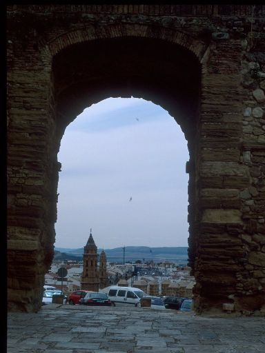 ImageImage1435.web.jpg