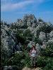 [thumbnail of Picture 31]