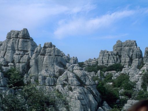 ImageImage1443.web.jpg