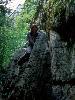 [thumbnail of Picture 35]