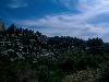 [thumbnail of Picture 3]