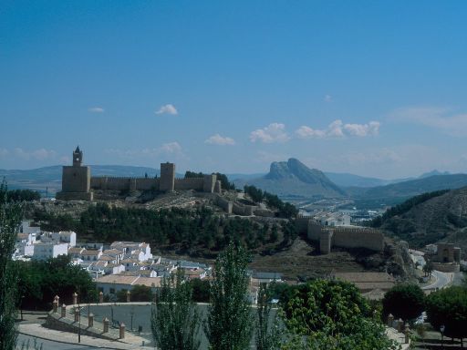 ImageImage1451.web.jpg