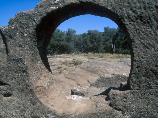 ImageImage1474.web.jpg