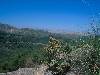 [thumbnail of Picture 30]