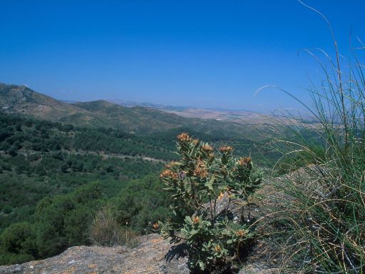 ImageImage1478.web.jpg