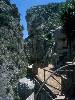 [thumbnail of Picture 3]