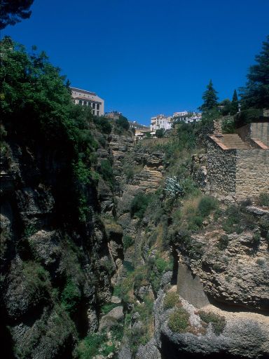 ImageImage1496.web.jpg