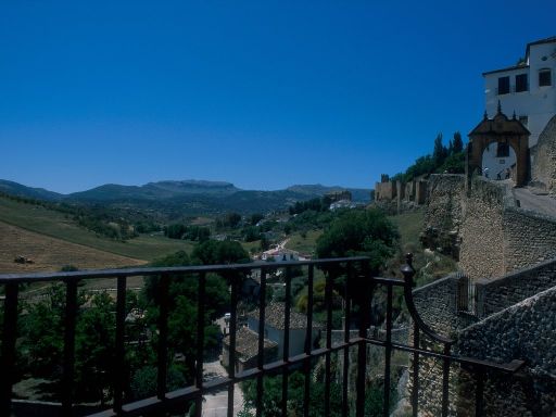 ImageImage1497.web.jpg