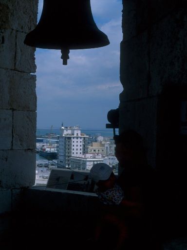 ImageImage1503.web.jpg