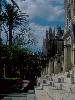 [thumbnail of Picture 30]