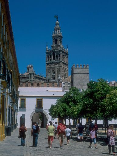 ImageImage1526.web.jpg
