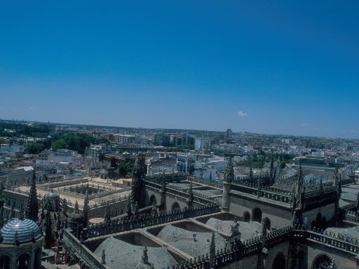 ImageImage1532.web.jpg