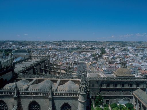 ImageImage1533.web.jpg