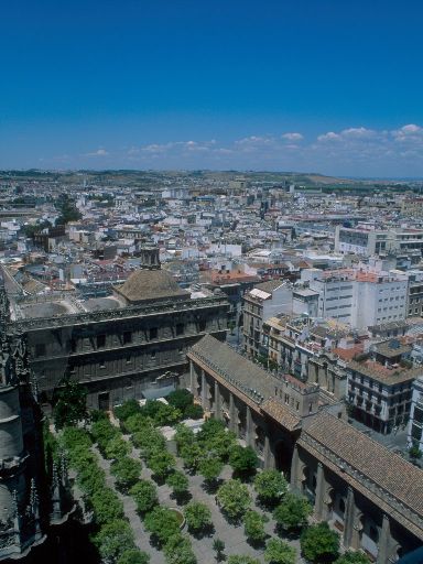 ImageImage1534.web.jpg