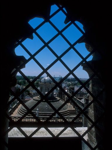 ImageImage1537.web.jpg