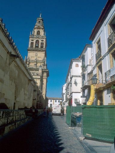 ImageImage1557.web.jpg