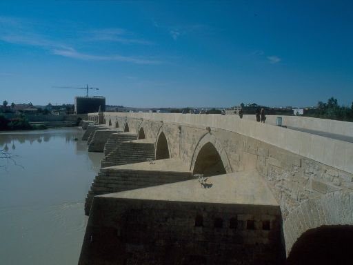 ImageImage1558.web.jpg