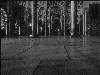 [thumbnail of Picture 5]