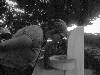 [thumbnail of Picture 13]