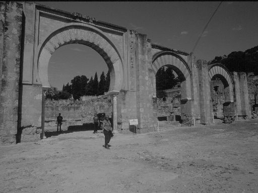 ImageImage1581.web.jpg