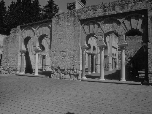 ImageImage1582.web.jpg