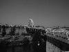 [thumbnail of Picture 19]