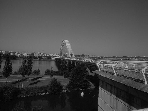 ImageImage1583.web.jpg