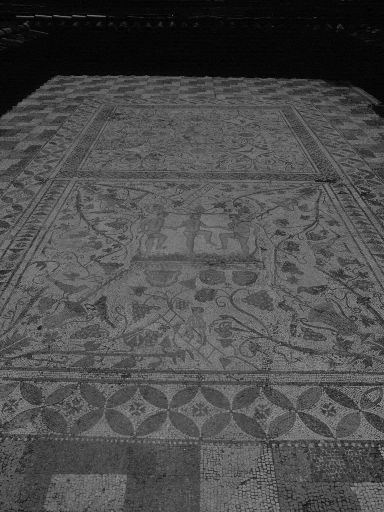 ImageImage1584.web.jpg
