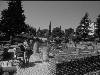 [thumbnail of Picture 21]